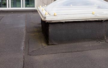 disadvantages of Great Lea Common flat roofs