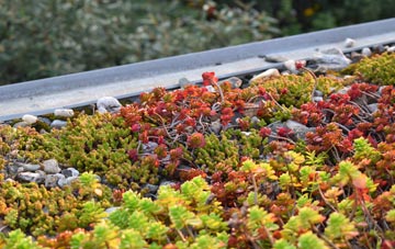 the cost of Great Lea Common green roof installation
